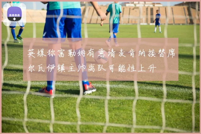 英媒称富勒姆有意请麦肯纳接替席尔瓦伊镇主帅离队可能性上升