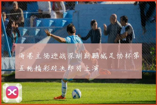 海港主场迎战深圳新鹏城足协杯第五轮精彩对决即将上演